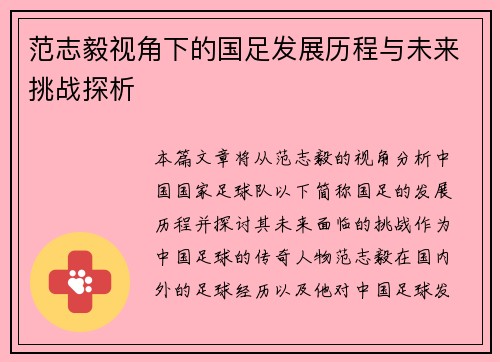 范志毅视角下的国足发展历程与未来挑战探析