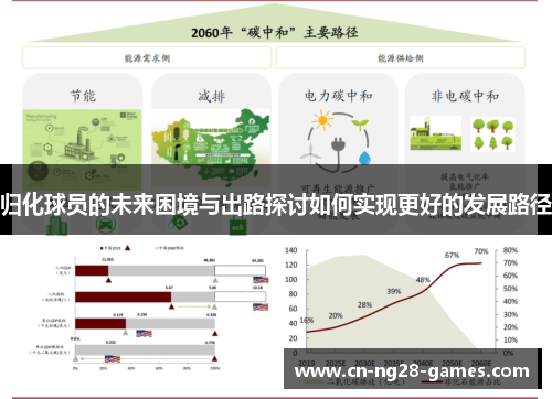 归化球员的未来困境与出路探讨如何实现更好的发展路径