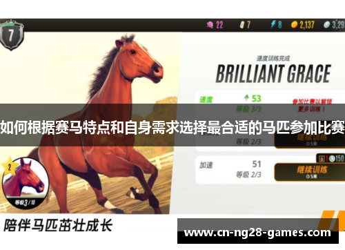 如何根据赛马特点和自身需求选择最合适的马匹参加比赛