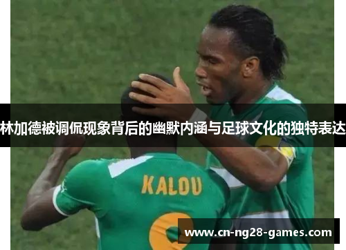 林加德被调侃现象背后的幽默内涵与足球文化的独特表达