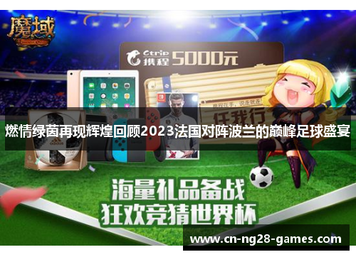 燃情绿茵再现辉煌回顾2023法国对阵波兰的巅峰足球盛宴